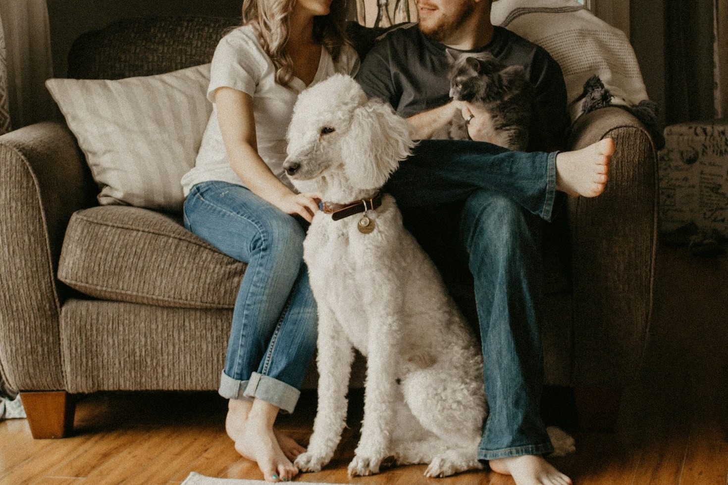 Como Escolher a Ração Ideal Para Cachorros e Gatos
