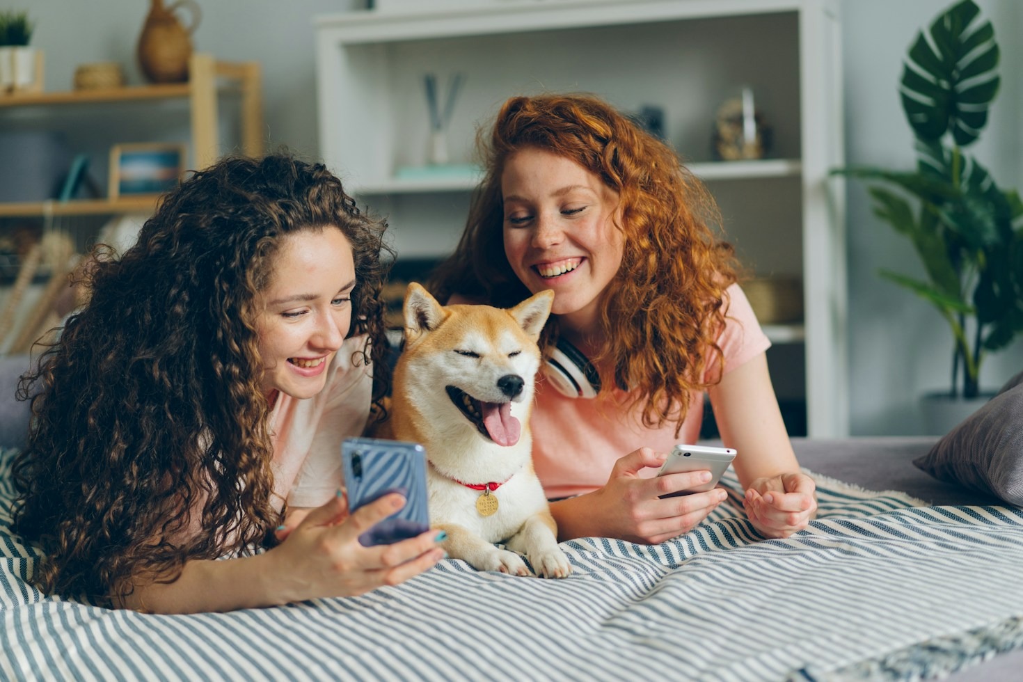 Principais Sinais de que Seu Pet Precisa Ir ao Veterinário